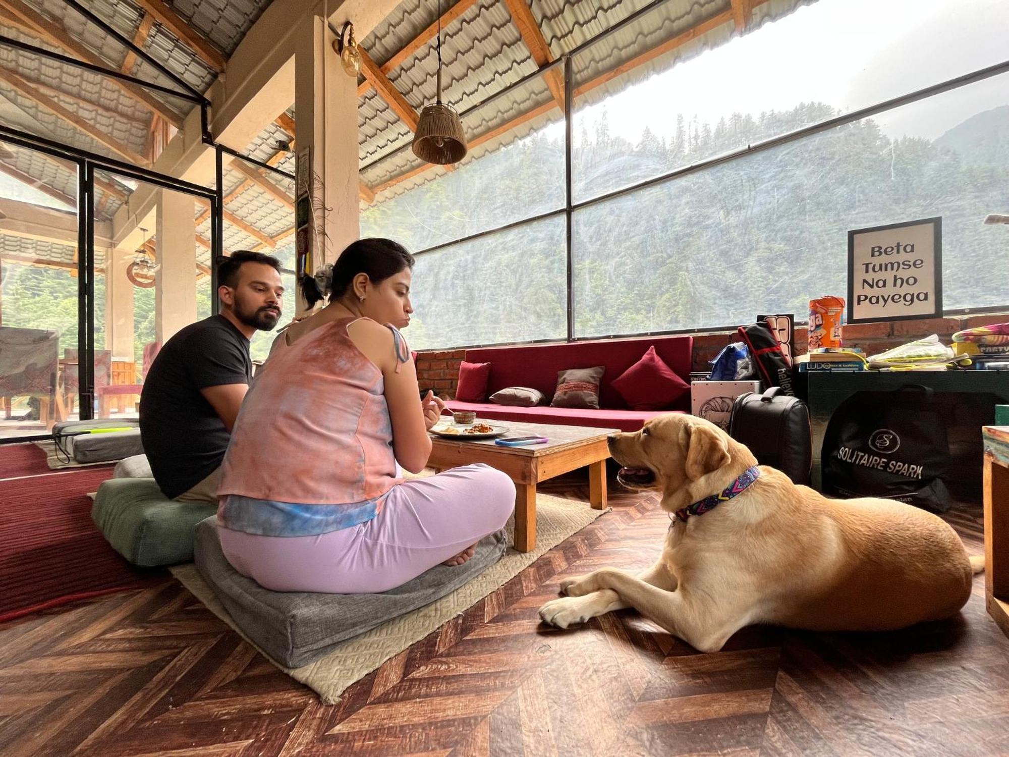 Thepahadians Food & Stay Jibhi Экстерьер фото